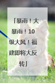 暴雨！大暴雨！10级大风！福建即将大反转