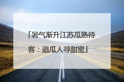 暑气渐升江苏瓜熟待客：追瓜人寻甜蜜