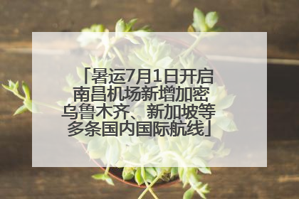 暑运7月1日开启 南昌机场新增加密乌鲁木齐、新加坡等多条国内国际航线