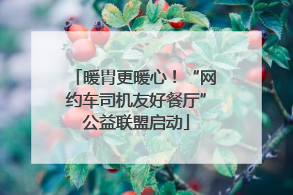 暖胃更暖心！“网约车司机友好餐厅”公益联盟启动