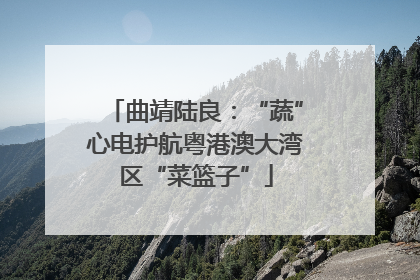 曲靖陆良：“蔬”心电护航粤港澳大湾区“菜篮子”