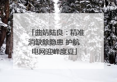 曲靖陆良：精准消缺除隐患 护航电网迎峰度夏