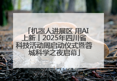 机器人进展区 用AI上新丨2025年四川省科技活动周启动仪式暨蓉城科学之夜启幕