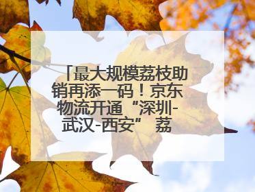 最大规模荔枝助销再添一码！京东物流开通“深圳-武汉-西安” 荔枝全货机航线