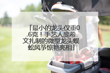 最小的龙头仅重0.6克！手艺人庞希文扎制的微型龙头蜈蚣风筝惊艳亮相