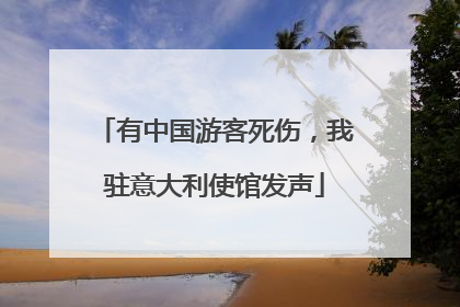 有中国游客死伤，我驻意大利使馆发声