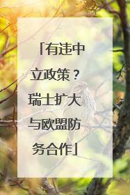 有违中立政策？瑞士扩大与欧盟防务合作