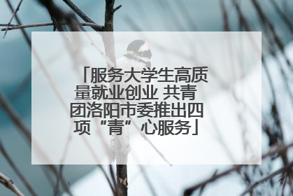 服务大学生高质量就业创业 共青团洛阳市委推出四项“青”心服务