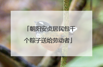 朝阳安贞居民包千个粽子送给劳动者