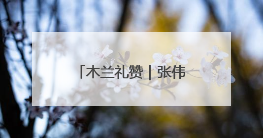 木兰礼赞｜张伟：用脚步丈量城市经纬，为民生项目按下“加速键”