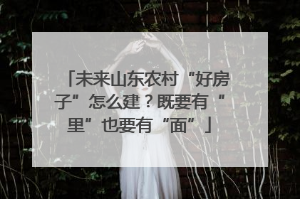 未来山东农村“好房子”怎么建？既要有“里”也要有“面”