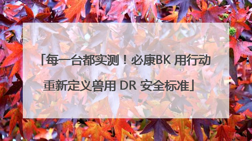 每一台都实测！必康BK 用行动重新定义兽用 DR 安全标准