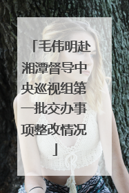 毛伟明赴湘潭督导中央巡视组第一批交办事项整改情况