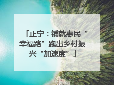 正宁：铺就惠民“幸福路”跑出乡村振兴“加速度”