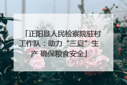 正阳县人民检察院驻村工作队：助力“三夏”生产 确保粮食安全