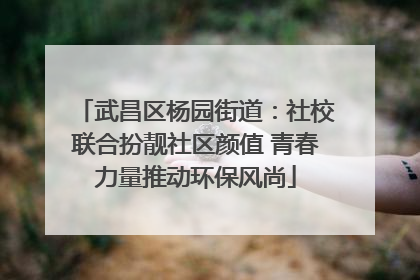 武昌区杨园街道：社校联合扮靓社区颜值 青春力量推动环保风尚