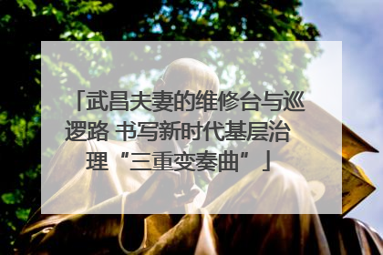 武昌夫妻的维修台与巡逻路 书写新时代基层治理“三重变奏曲”