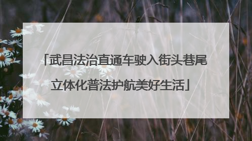 武昌法治直通车驶入街头巷尾 立体化普法护航美好生活