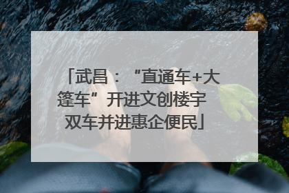 武昌：“直通车+大篷车”开进文创楼宇 双车并进惠企便民