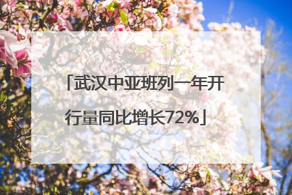 武汉中亚班列一年开行量同比增长72%