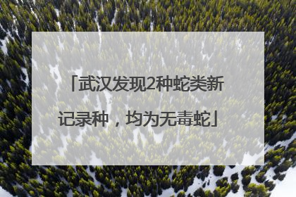武汉发现2种蛇类新记录种，均为无毒蛇