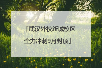 武汉外校新城校区全力冲刺9月封顶