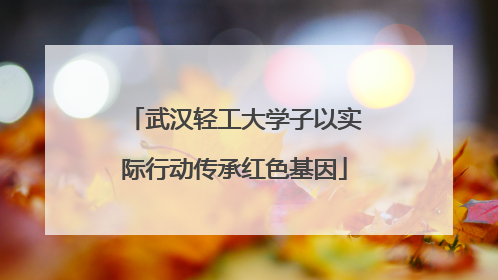 武汉轻工大学子以实际行动传承红色基因