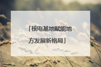 核电基地赋能地方发展新格局