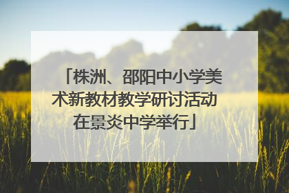 株洲、邵阳中小学美术新教材教学研讨活动在景炎中学举行