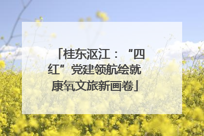 桂东沤江：“四红”党建领航绘就康氧文旅新画卷