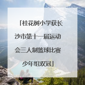 桂花树小学获长沙市第十一届运动会三人制篮球比赛少年组双冠