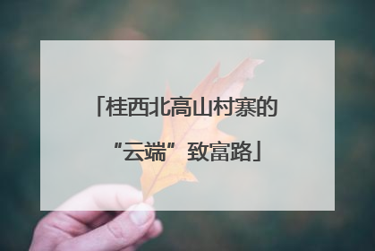桂西北高山村寨的“云端”致富路
