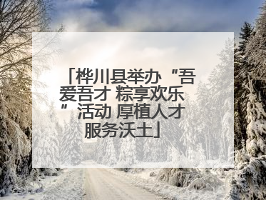 桦川县举办“吾爱吾才 粽享欢乐”活动 厚植人才服务沃土