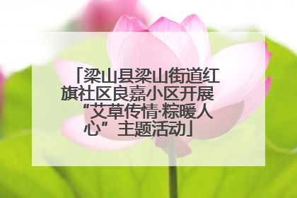 梁山县梁山街道红旗社区良嘉小区开展“艾草传情·粽暖人心”主题活动