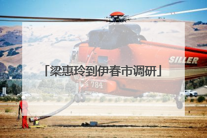梁惠玲到伊春市调研