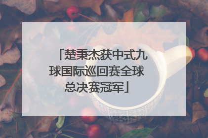 楚秉杰获中式九球国际巡回赛全球总决赛冠军