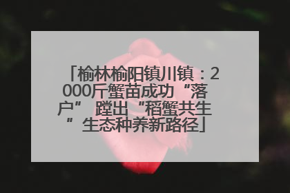 榆林榆阳镇川镇：2000斤蟹苗成功“落户” 蹚出“稻蟹共生”生态种养新路径