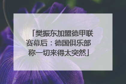 樊振东加盟德甲联赛幕后：德国俱乐部称一切来得太突然
