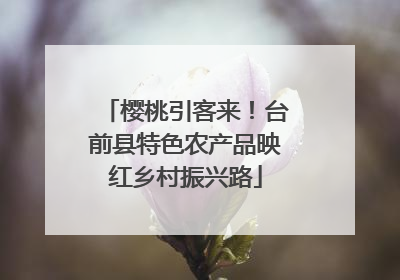 樱桃引客来！台前县特色农产品映红乡村振兴路