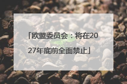 欧盟委员会：将在2027年底前全面禁止