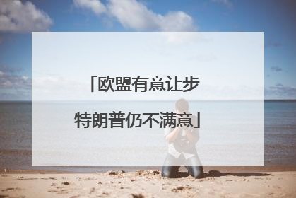 欧盟有意让步 特朗普仍不满意