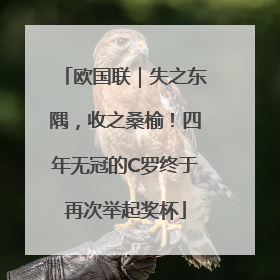 欧国联｜失之东隅，收之桑榆！四年无冠的C罗终于再次举起奖杯