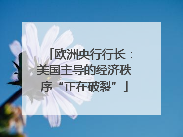 欧洲央行行长：美国主导的经济秩序“正在破裂”