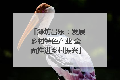 潍坊昌乐：发展乡村特色产业 全面推进乡村振兴