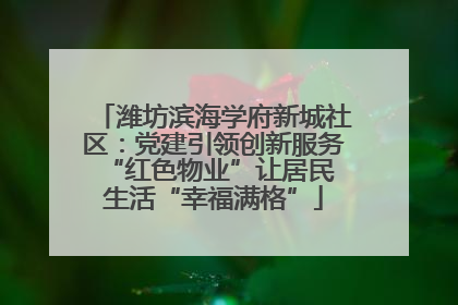 潍坊滨海学府新城社区：党建引领创新服务 “红色物业”让居民生活“幸福满格”