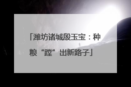 潍坊诸城殷玉宝：种粮“蹚”出新路子
