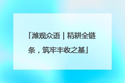 潍观众语｜精耕全链条，筑牢丰收之基