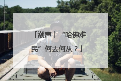 潮声丨“哈佛难民”何去何从？