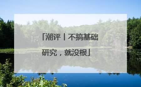 潮评丨不搞基础研究，就没根