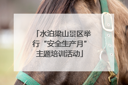 水泊梁山景区举行“安全生产月”主题培训活动